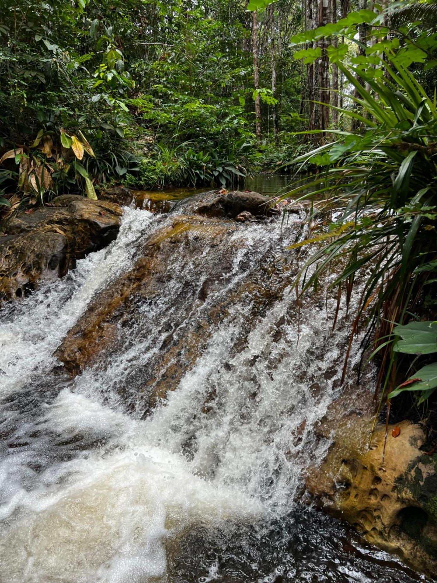 Pousada Paraiso Do Calango Azul Presidente Figueiredo Exteriör bild