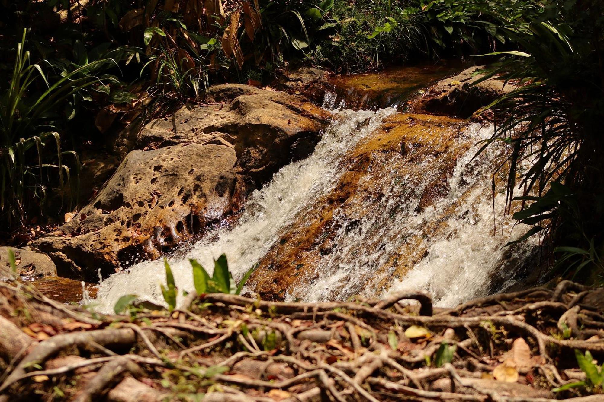 Pousada Paraiso Do Calango Azul Presidente Figueiredo Exteriör bild