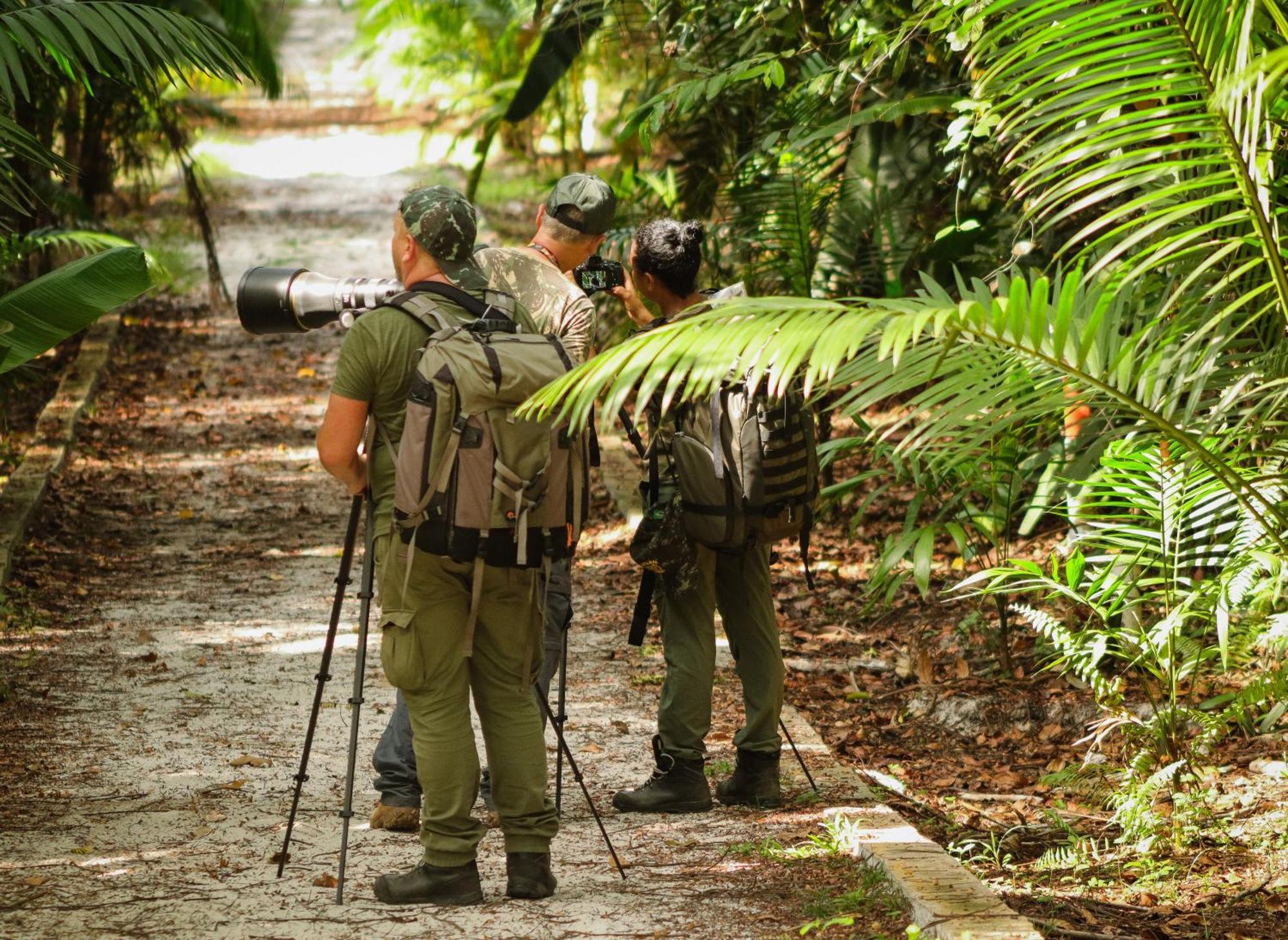 Pousada Paraiso Do Calango Azul Presidente Figueiredo Exteriör bild