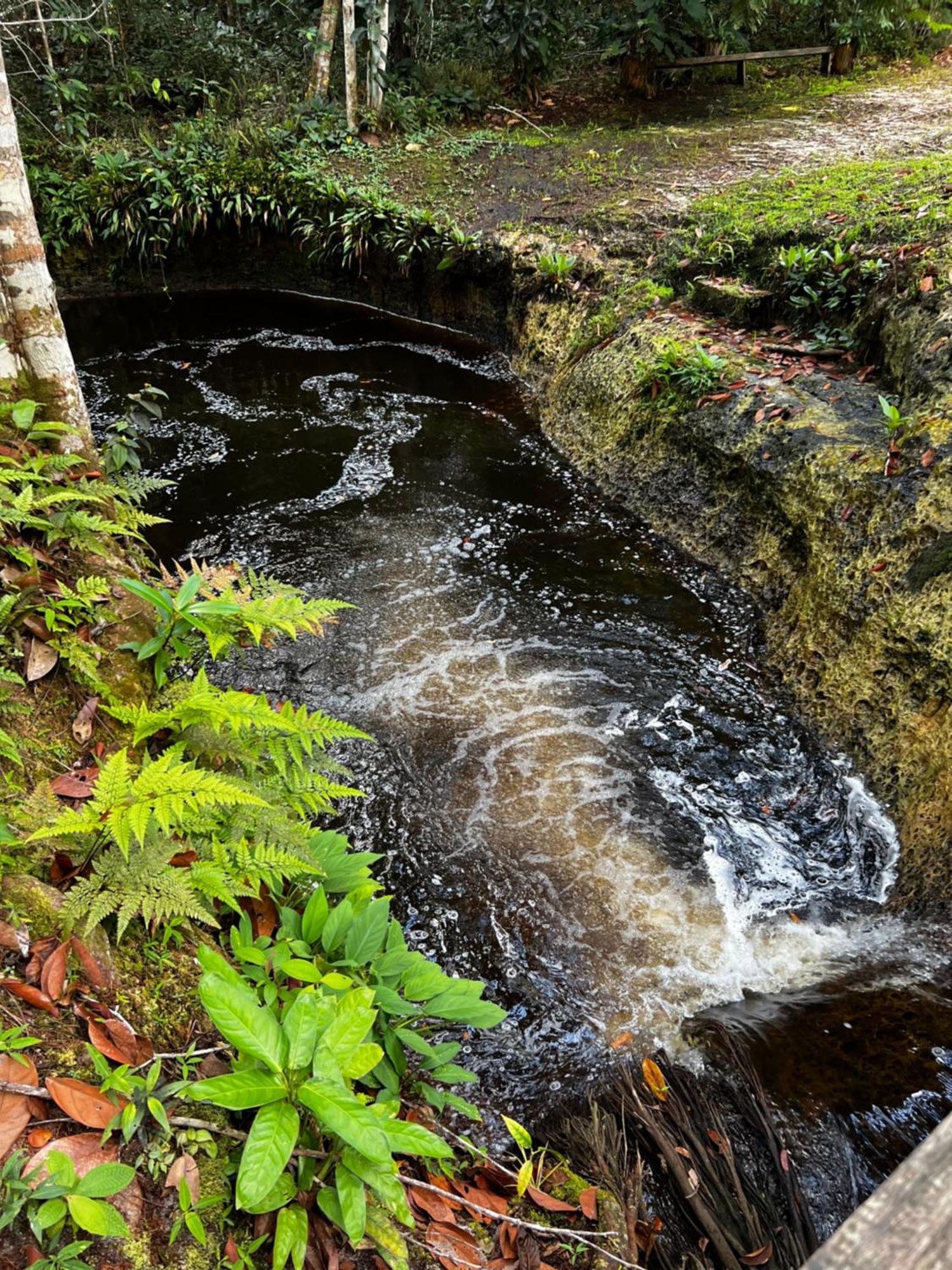 Pousada Paraiso Do Calango Azul Presidente Figueiredo Exteriör bild