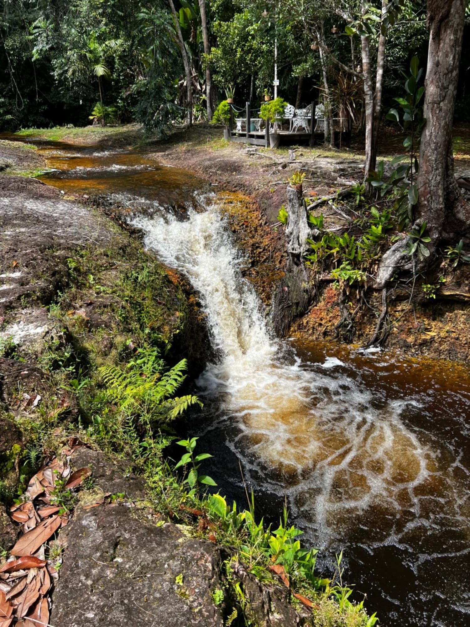 Pousada Paraiso Do Calango Azul Presidente Figueiredo Exteriör bild