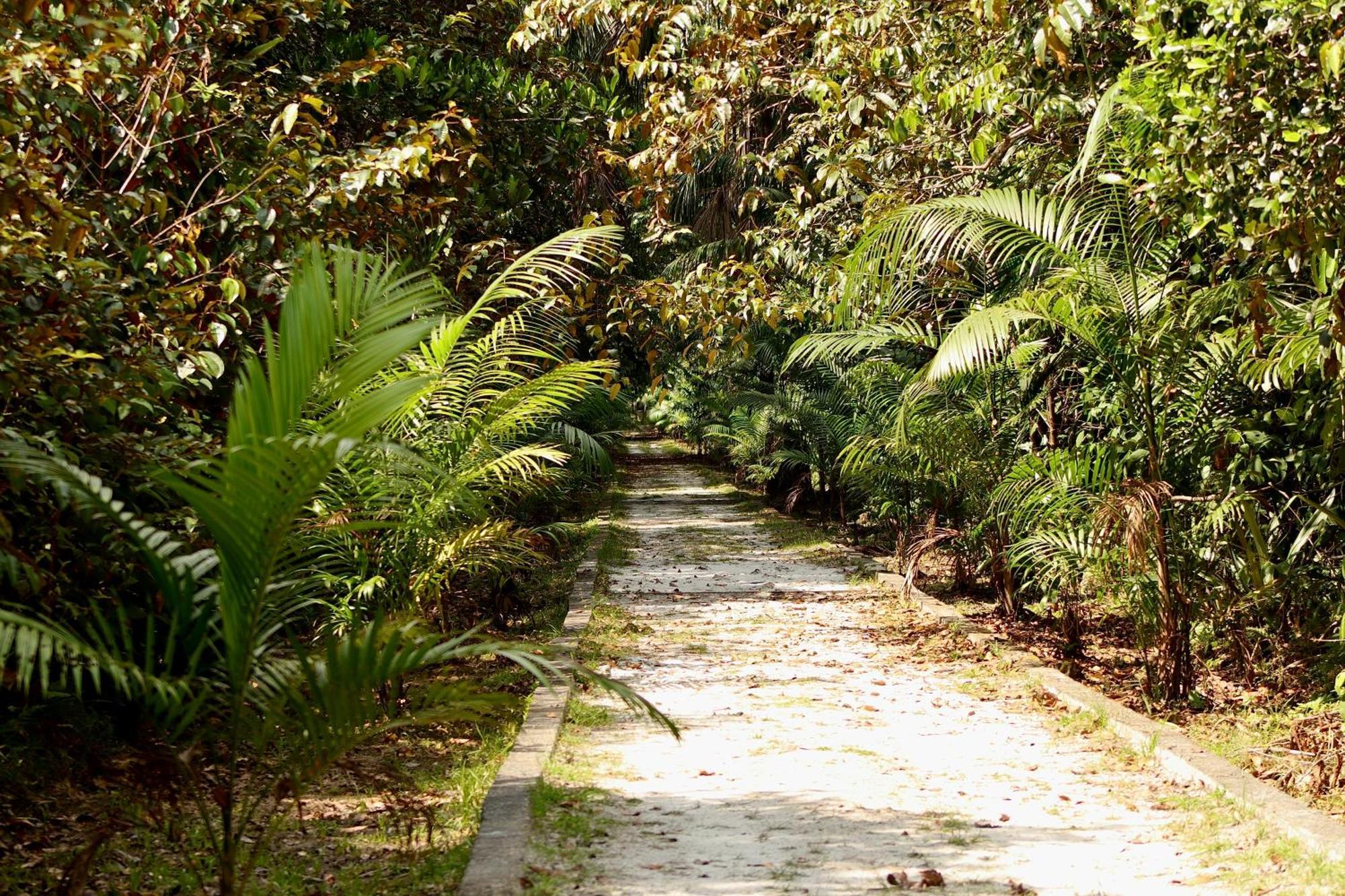 Pousada Paraiso Do Calango Azul Presidente Figueiredo Exteriör bild