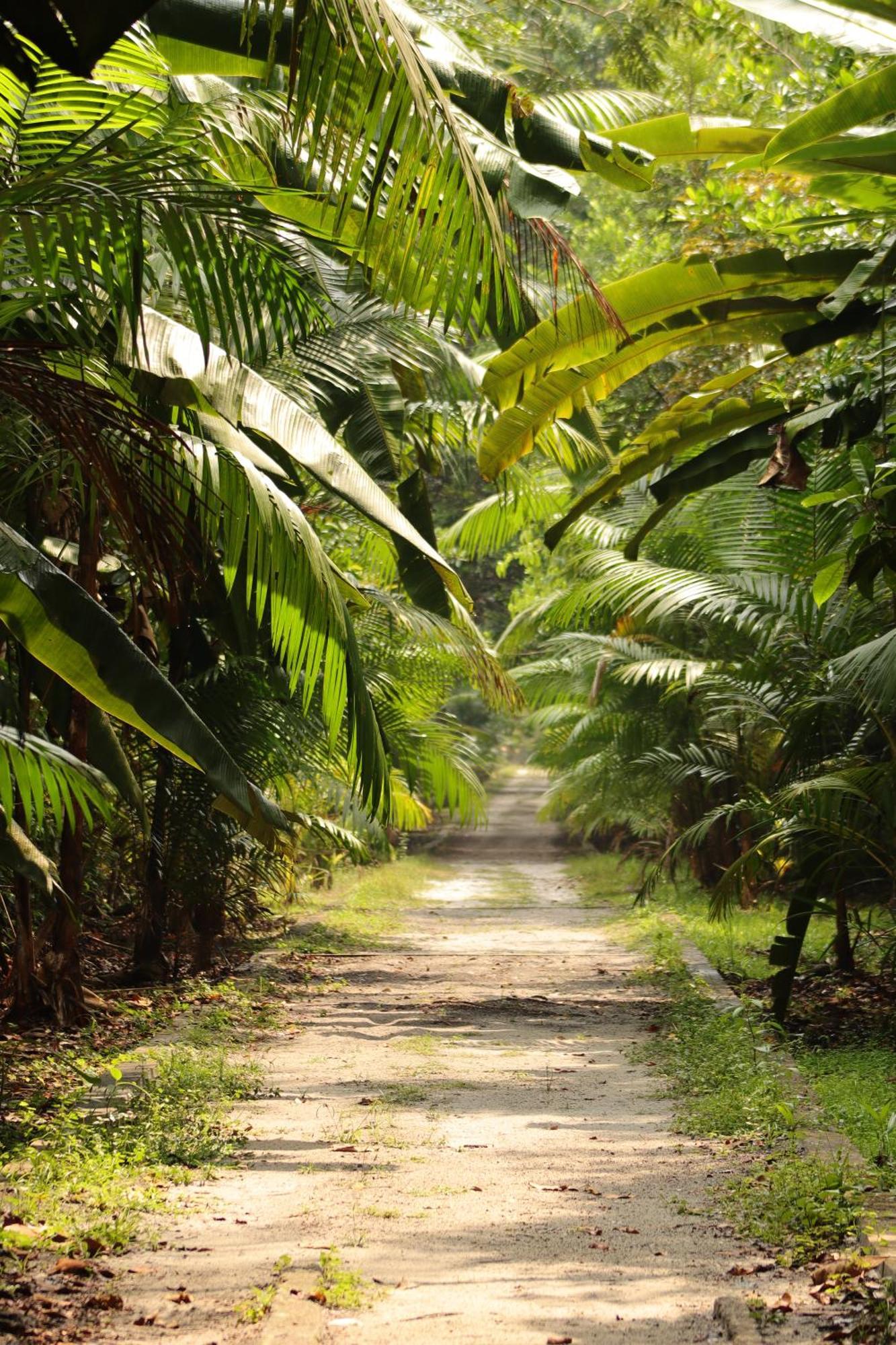 Pousada Paraiso Do Calango Azul Presidente Figueiredo Exteriör bild